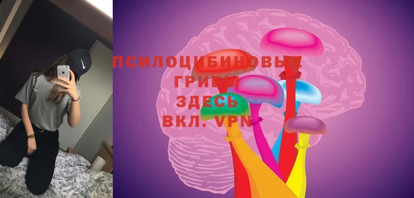 сатива Белоозёрский