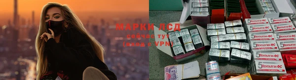 сатива Белоозёрский