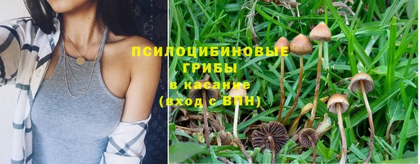 сатива Белоозёрский